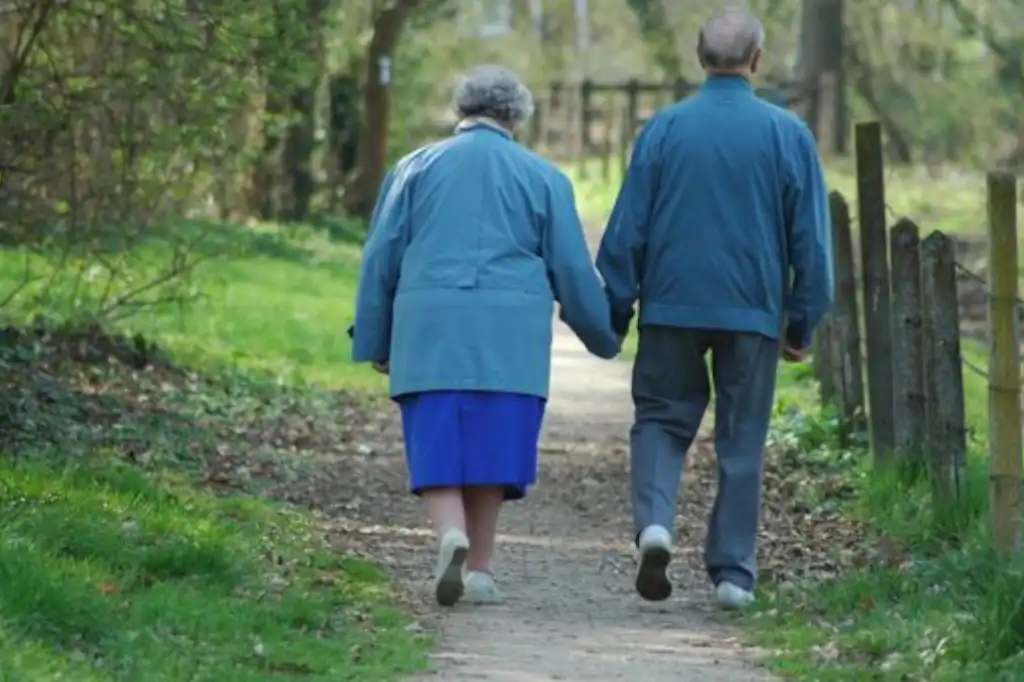 Las personas pensionadas en México destinan la mayor parte de su ingreso mensual a necesidades básicas como alimentos, servicios y salud, según revela la Encuesta de Egresos elaborada por Pensiones Banorte.