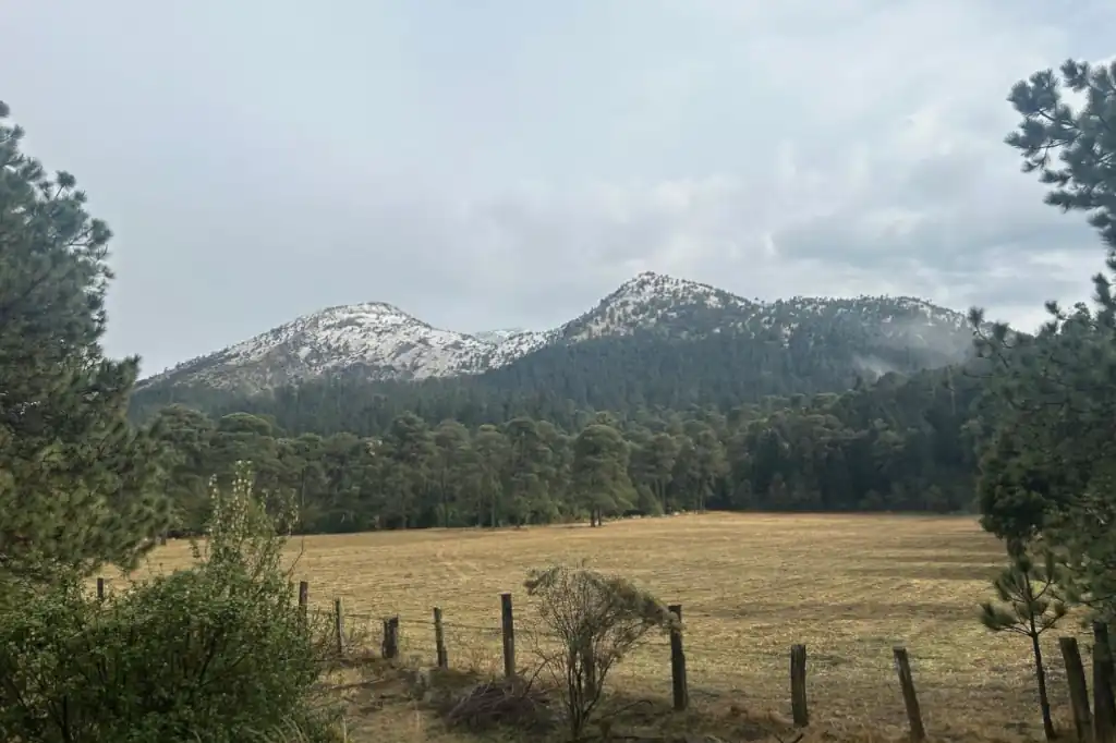 Nevada primaveral sorprende al Ajusco y genera revuelo en redes sociales