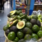México refuerza reglas para impulsar exportación de aguacate a Estados Unidos