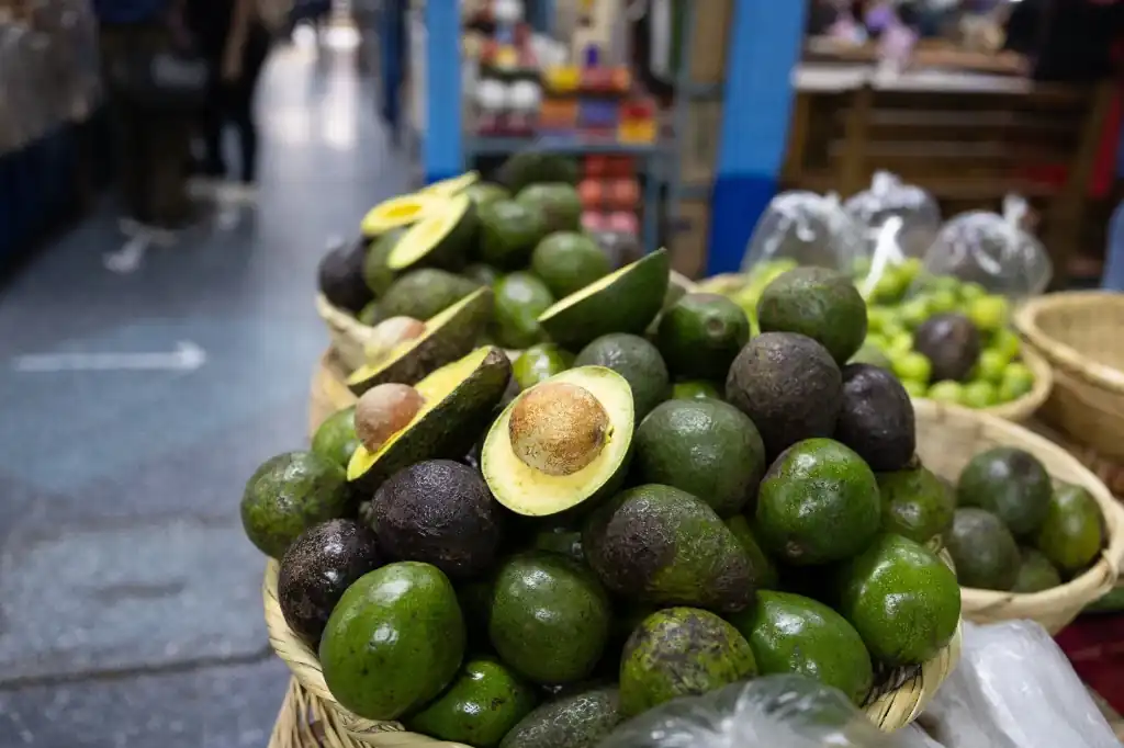 México refuerza reglas para impulsar exportación de aguacate a Estados Unidos